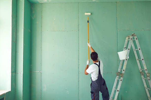 Best Commercial Mold Inspection  in Binghamton, NY