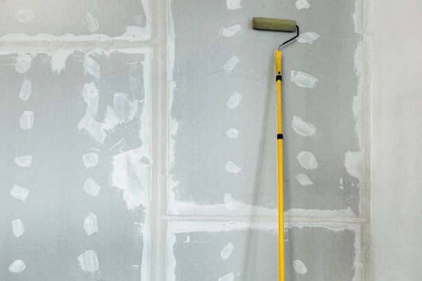 Best Real Estate Mold Inspection  in Binghamton, NY