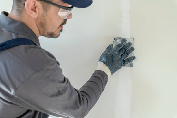 Best Mold Remediation for Vacation Homes  in Binghamton, NY