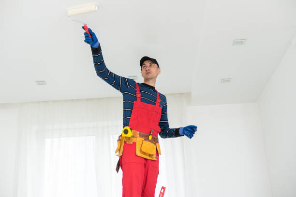 Best Biohazard Mold Removal  in Binghamton, NY