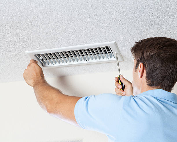 Best Attic Mold Removal  in Binghamton, NY