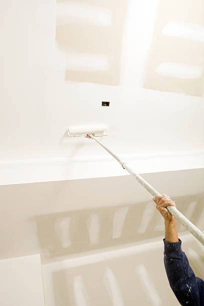 Best Basement Mold Removal  in Binghamton, NY