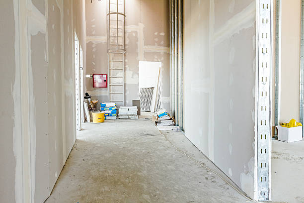 Trusted Binghamton, NY Mold Removal Experts