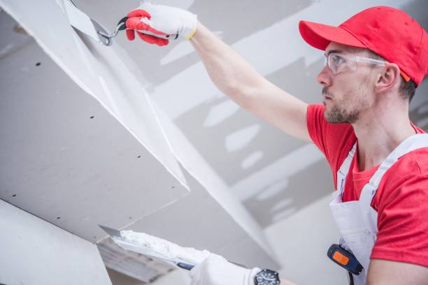 Best Biohazard Mold Removal  in Binghamton, NY